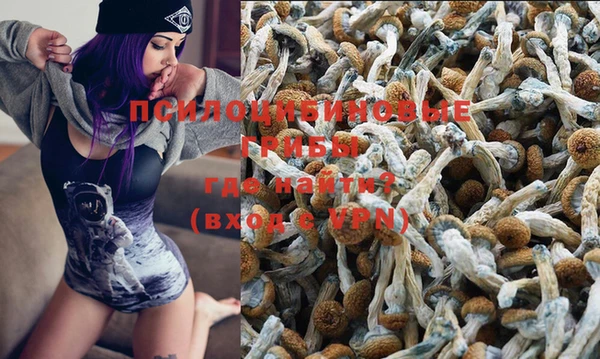 дурь Бежецк