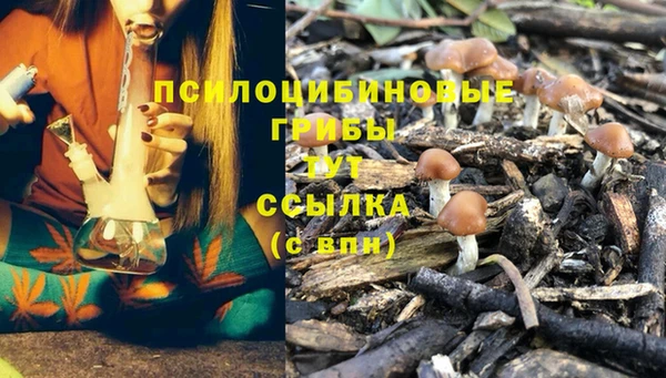 гидропоника Нея