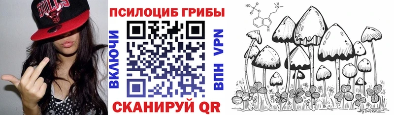 Галлюциногенные грибы Psilocybe Суздаль